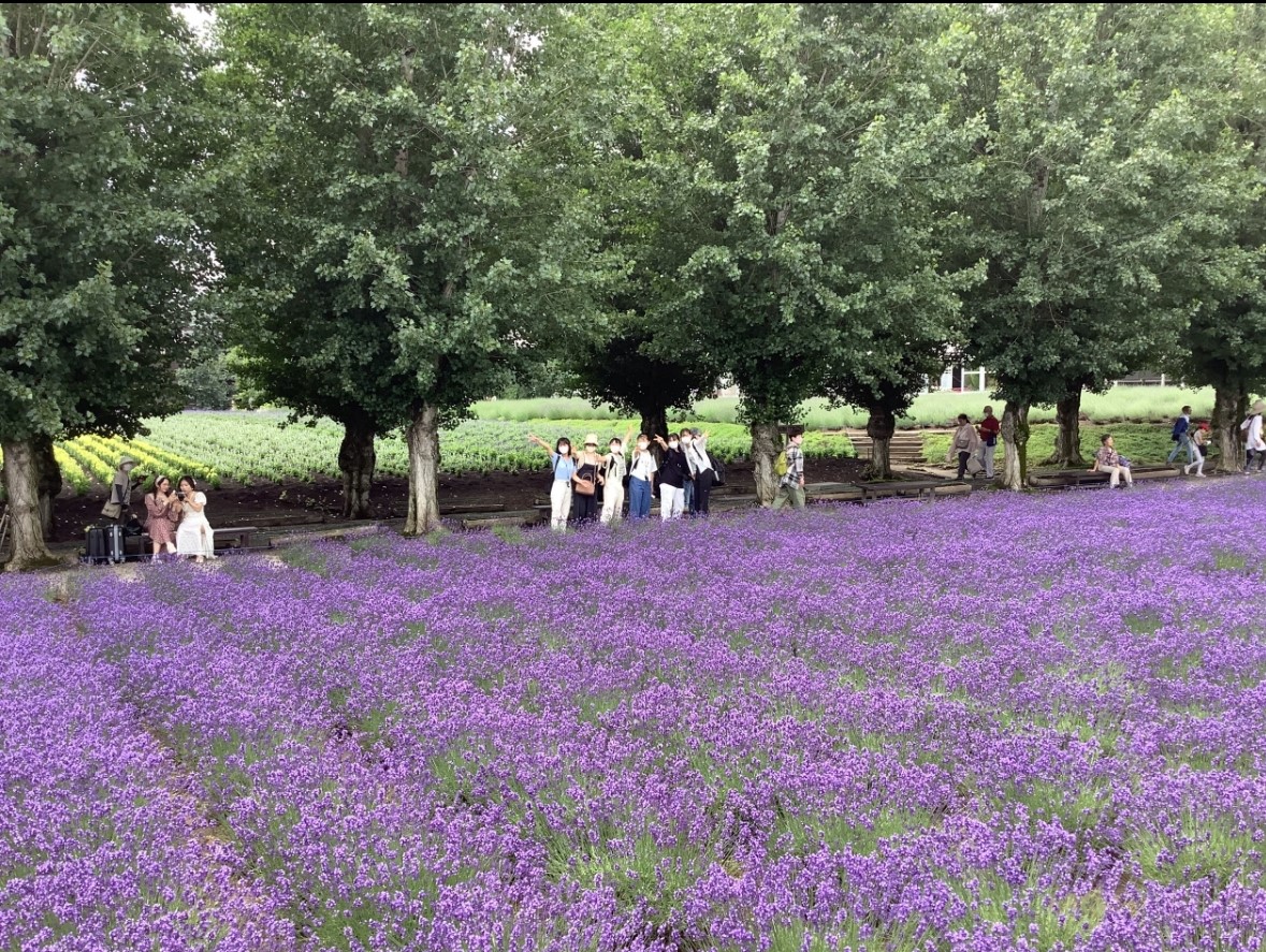 富良野