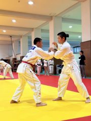 image_67510529