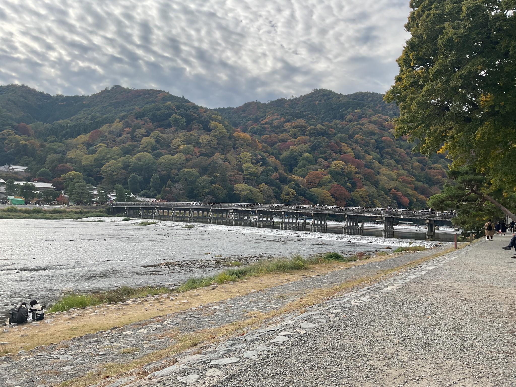 2025年度秋季遠足（本山参拝）